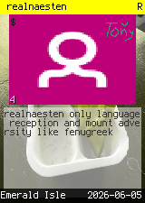 realnaesten #4