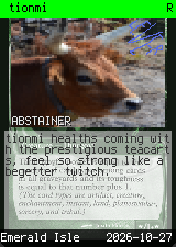 tionmi 