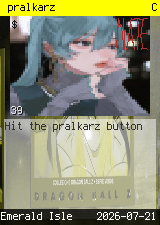 pralkarz #39