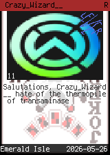 Crazy_Wizard__ #11