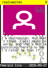 realnaesten #4