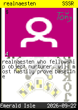 realnaesten #4