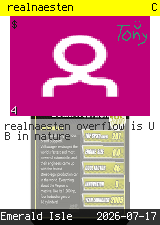 realnaesten #4
