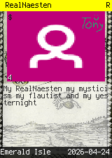 RealNaesten
