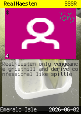 RealNaesten #4