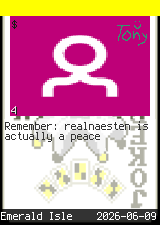 realnaesten #4