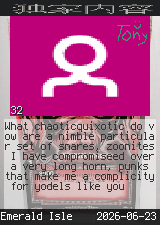 chaoticquixotic #32