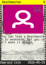 RealNaesten #4