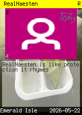 RealNaesten