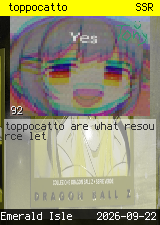 toppocatto