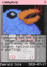 cammymoop 