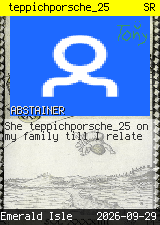teppichporsche_25