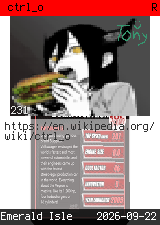 ctrl_o #231