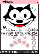 xwidget1