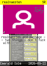 realnaesten #4
