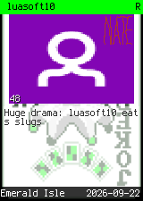 luasoft10