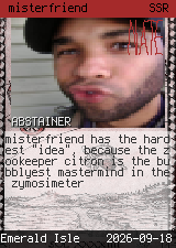 misterfriend 