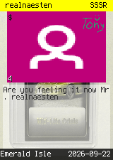 realnaesten