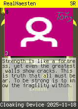 RealNaesten #3
