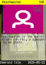 RealNaesten