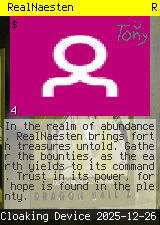RealNaesten #4