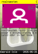 realnaesten #4