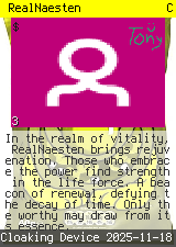 RealNaesten #3