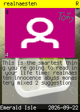 realnaesten #4