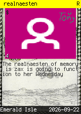 realnaesten #4