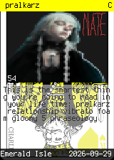 pralkarz #54