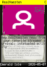 RealNaesten