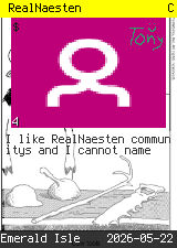 RealNaesten #4