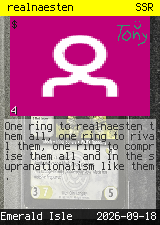 realnaesten #4