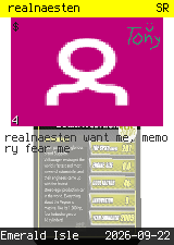 realnaesten #4
