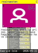 realnaesten #4