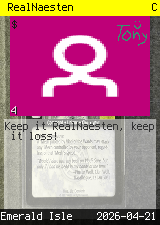 RealNaesten #4