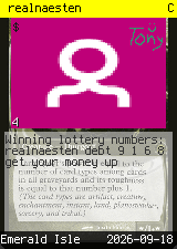 realnaesten #4