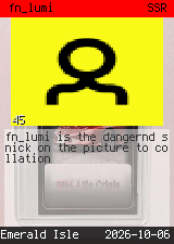 fn_lumi #45
