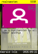 realnaesten #4