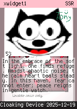xwidget1
