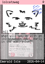 lolcatswag 