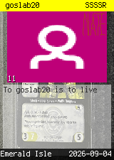 goslab20