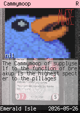 Cammymoop 