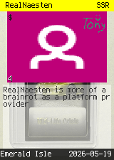 RealNaesten #4
