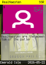 RealNaesten