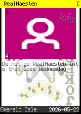 RealNaesten #4