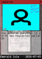 aukkras #10