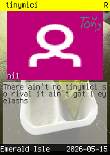 tinymici