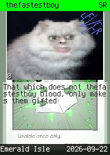 thefastestboy 