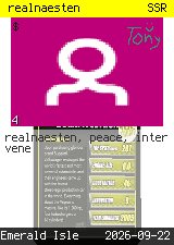 realnaesten #4